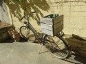 Old bicycle for delivering wine